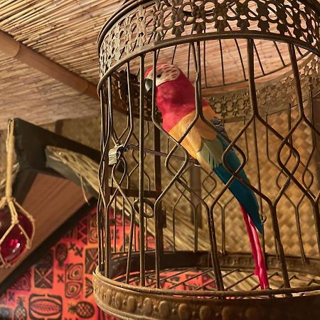 The Kondo Tiki Tampa Ngoại thất bức ảnh