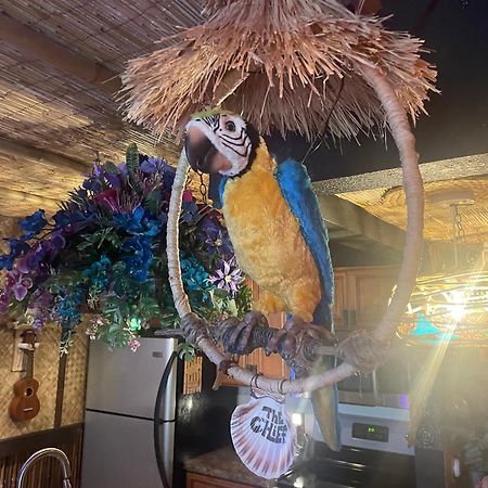 The Kondo Tiki Tampa Ngoại thất bức ảnh